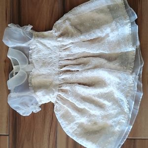 🌟BNWT🌟 Noralee Gidgette Dress in Shell